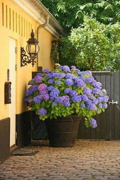 HQ Flower Pot Plant Rattan Style Planter Flower pot Plants pots 40 cm White