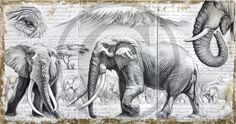 >oo MARCELLO PETTINEO oo< 303 - Satao à l'ombre de l'acacia Эскиз Слона, Рисунки Слона, Рисунки Птиц, Рисунки Животных, Tatoo, Рисунки, Художественные Скульптуры, Картины, Эскизы Животных