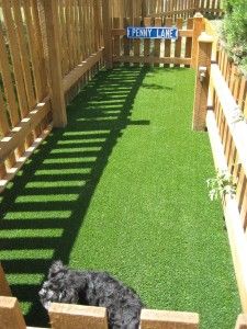 Save Your Lawn From Dog And Potty Area How To Save Your Lawn From Dog And Potty Area How To Canine Training Center Tis The Season Pinterest
