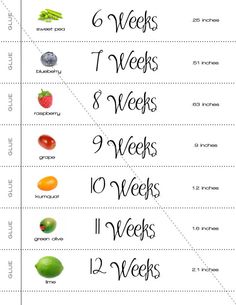 96 best my first new baba on its way images baby announcements baby growing charts