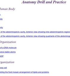 87 Worksheets and Quizzes ideas in 2021 | quizzes, worksheets, human