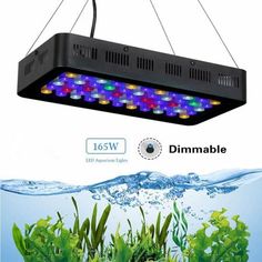15 best aquarium lighting