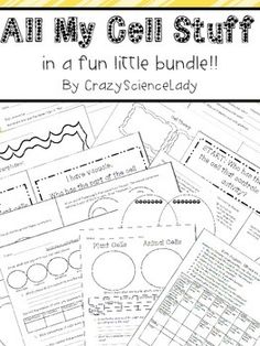 blanks for mitosis flip book biology pinterest flip books cell cycle flip book