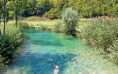 Sognare un prato verde significato di prati, pascoli, praterie nei sogni Sognare prato verde