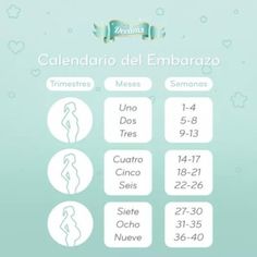 20 Semanas Cuantos Meses De Embarazo Serian Club De Bebés Junio 2018 20 Semanas De Embarazo Embarazo Semana 20 9 Semanas De Embarazo