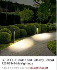 22 Landscape Lighting Ideas Landscaping Pinterest Diy Network Light Hillside Pathway Behind House Bega Led Garden And Bollard