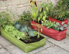 plantadores de hortalizas 131 mejores im 225 genes de huerto vegetable garden edible plantadores de hortalizas 131 mejores im 225 genes de huerto vegetable garden edible