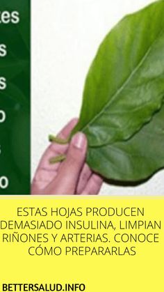 Medicamentos herbales filipinos para la diabetes