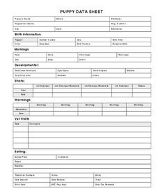 Small Dog Daycare Rochester Ny Small Dog Daycare Rochester Ny