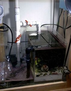 30 best 35 gallon