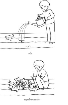 basteln mit kindern gemusegarten bild, 406 besten garten / pflanzen bilder auf pinterest in 2018, Design ideen