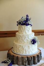 Juric Park Themed Wedding Cake Nerds Gone Wild Pinterest Safeway Wedding Cakes Google Search