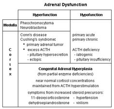 endocrine system control feedback blood osmolarity adh adh and aldosterone venn diagram
