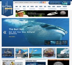 17 best magazine web design images design websites website publisher of a website
