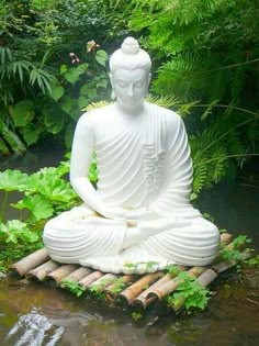 buddha hd wallpaper 1080p