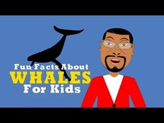 89 best educational cartoons for kids students images cartoon kid educational cartoons