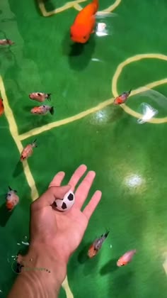 7 Animals Ideas In 2021 Cute Little Animals Funny Animal Videos Cute Animals