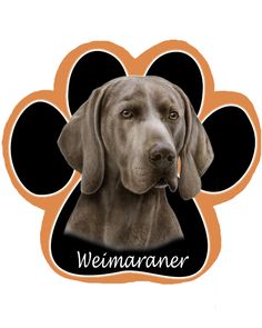 Waggydogz Weimaraner Cushion 17x17/" NEW