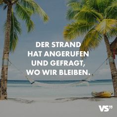Bilder mit sprüchen drauf - Unser Favorit