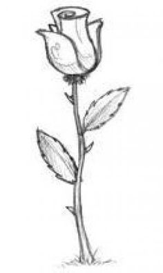 Disegni a matita facili bocciolo rosa parte gambo piccola foglia ... Rose da disegnare facili