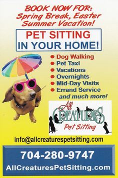 pet sitting business full color flyer popular pet gifts pet sitter flyer