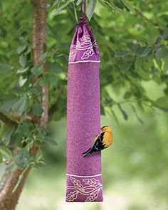 9 Best Finch Feeders Images Backyard Birds Birdhouses Finch Stocking Feeder 8 95 Diy For Me Feeders Bird House