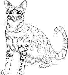 wild cat with lotus flowers ancient egyptian cats a coloring book coloringbook adultcoloringbook catcoloringbook cat coloring books pinterest
