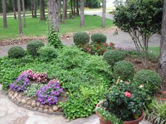 landscaping ideas for small front yards outdoor idea landscaping small trees for front yard front yard landscaping ideas on budget 410 best front yard landscaping ideas images pinterest in 2018 landscaping ideas for small front yards outdoor idea landscaping small trees for front yard front yard landscaping ideas on budget 410 best front yard landscaping ideas images pinterest in 2018