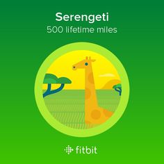 Fitbit Stock Quote New 89 Best My Fitbit Images On Pinterest Walking Challenge Exercises . Fitbit Stock Quote Awesome 89 Best My Fitbit Images On Pinterest Walking Challenge Exercises .
