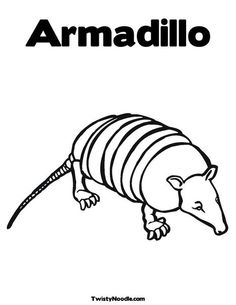 armadillo animal designs pinterest armadillo and traditional