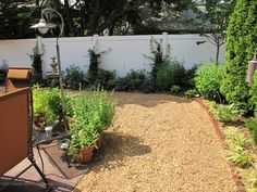 creating a dog friendly water efficient yard spot magazine