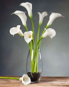 41 Best Valentine S Day Images On Pinterest Fl Arrangements Calla Lily Large Silk Flower Stem