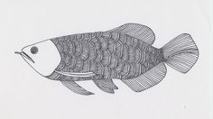 9 best arowana images