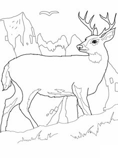 free printable deer coloring pages for kids wood burning