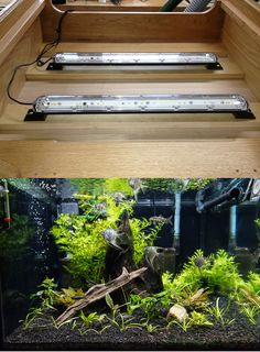 51 best led lighting
