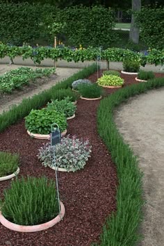 gartengestaltung mit steinen und kies bilder impressum | baum, Best ... gartengestaltung mit steinen und kies bilder impressum | baum, Best ...