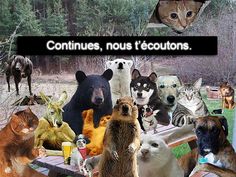 Tecate Camping (avec images) | Deguisement animaux, Toutous Tecate Camping (avec images) | Deguisement animaux, Toutous
