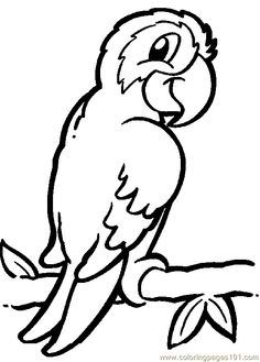 30 best animal coloring pages images on pinterest free printable