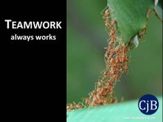 Teamwork always works Tapered, Twist, Quotations, Nailed It
