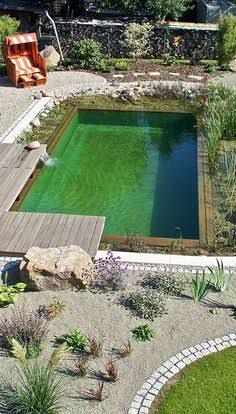 180 Natural Pools Ideas Natural Swimming Pools Swimming Pools Natural Pool