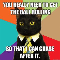 41 best business cat images on pinterest in 2018 funny memes