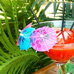 110 Best Umbrella Drinks Celebrate Tropical Style Images On Paper Tail Umbrellas Drink Umbrella At Drinkstuff Tropical Style