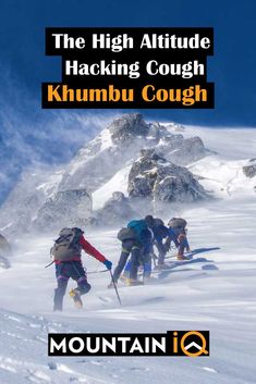 Everest Denali Insurance Company Am Best