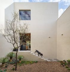 Dylan Elchami Dylanelchami Profile Pinterest
