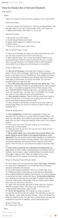 essay about visual art university ranking
