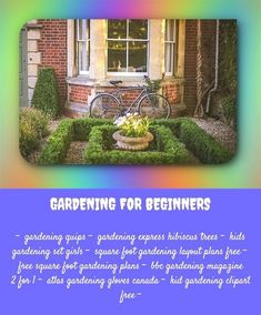 gardening for beginners_625_20180611100449_23 american girl gardening set for toddler winter garden vegetables southern - Madison Square Garden Jobs gardening for beginners_625_20180611100449_23 american girl gardening set for toddler winter garden vegetables southern - Madison Square Garden Jobs