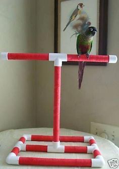 7 Ideas De Akira Juguetes Para Pájaros Jaulas De Pajaros Jaulas Grandes Para Pájaros