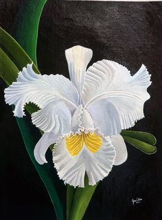 120 Orquideas Acrílico Sobre Lienzo Orquideas Lienzos Espíritu Santo Dibujos