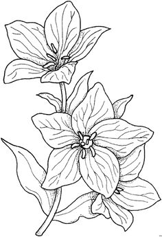 Blumengemischt HFB 0131 478x700 63Kb Pattern