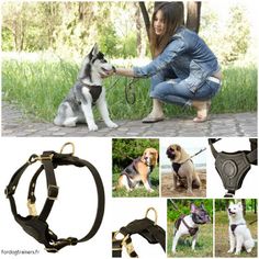 Lévrier Chien /& propriétaire Best friend Amitié Set Porte-clés /& Collier Charme